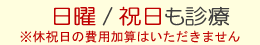 利便性を考え日曜/祝日も開院しています、休祝日の医療費加算はいただいておりません